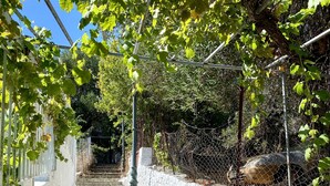 Gradians de pedra que s'enfilen cap a un turó, envoltats de vegetació i una paret blanca.