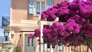 Edifici de dues plantes amb mur de pedra al davant, un rètol que diu "Villa Harmonia" i flors de buganvília rosa vibrant.