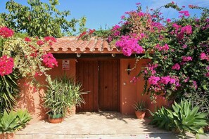 Detalle del exterior