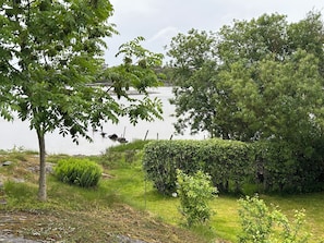 A natural landscape with a lake, trees, and a hedge. - A summer cottage on the west coast of Gothenburg archipelago with private beach (Torslanda)
