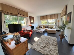 Smart TV, chimenea, reproductor de DVD, videoteca