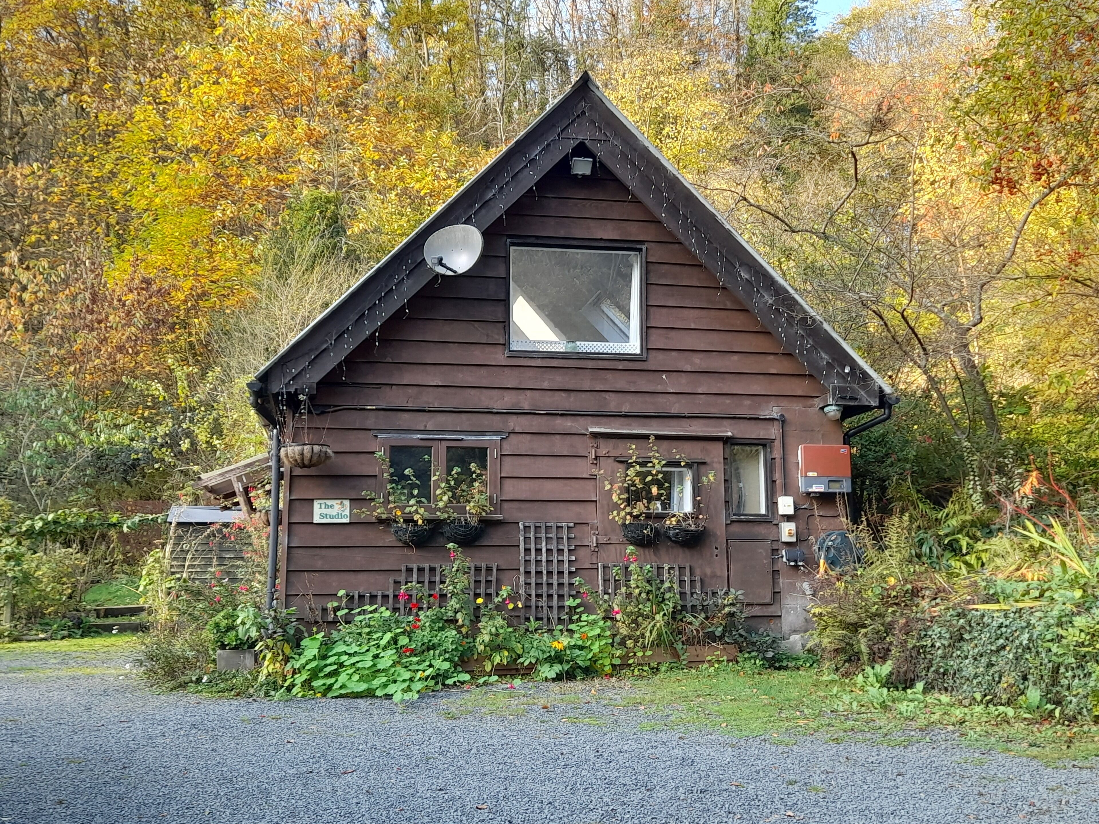 Family\/pet-friendly woodland retreat in Mortimer Country near historic Ludlow