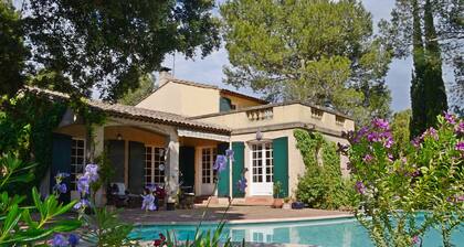 Mansion - Villeneuve les avignon