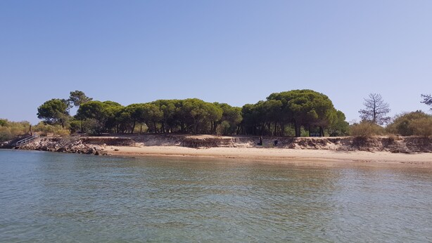 A beach with clear water, a sandy shore, and a line of trees in the background. - Riverside apartment with private pool in old town - WiFi (Tavira)
