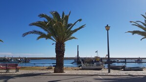 A waterfront scene with boats docked, a palm tree, and a bench. - Riverside apartment with private pool in old town - WiFi (Tavira)