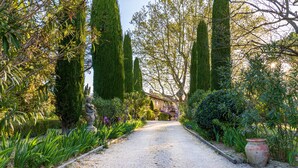 A gravel pathway leading to a building with a traditional facade, surrounded by neatly trimmed hedges and various plants. - Apartment/ flat - Lagnes-L'Isle-sur-la-Sorgue (lAGNES)