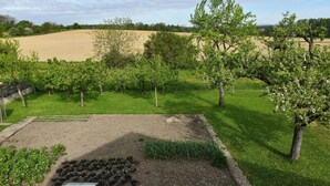 Een tuin met verschillende planten en bomen, een gazon en een stuk aarde.