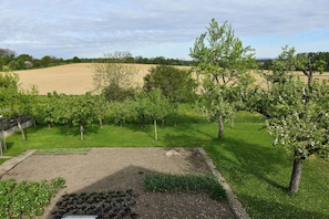 A garden with various plants and trees, a grassy area, and a dirt patch.