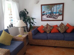 Télévision, lecteur de DVD, livres, chaîne hi-fi