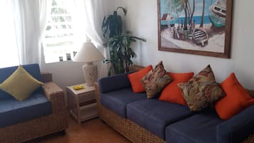 電視、DVD 播放機、書籍、音響