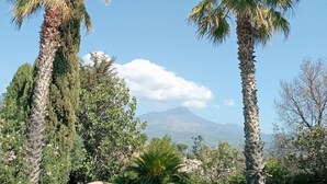 Un jardín con palmeras y una montaña al fondo.