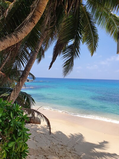 Seychelles: Apartment/ flat - Seychelles