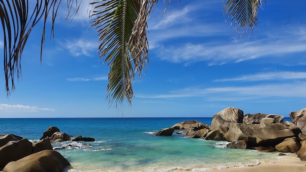 Ein Strand mit klarem türkisblauem Wasser, großen Felsen und einer Palme.