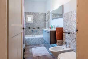 Combined shower/tub, hair dryer, bidet, towels