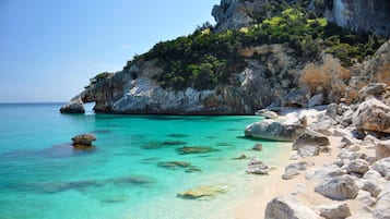 Lettini da mare