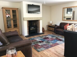 Smart TV, fireplace, books