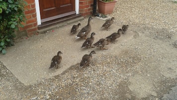 Enceinte de lâhĂ©bergement
