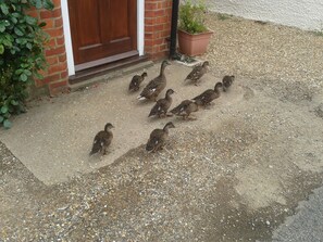 Overnattingsstedets uteområder