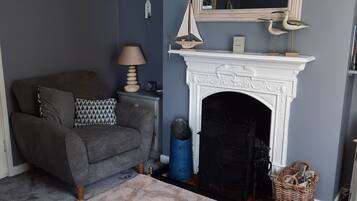 Una televisión, una chimenea, libros