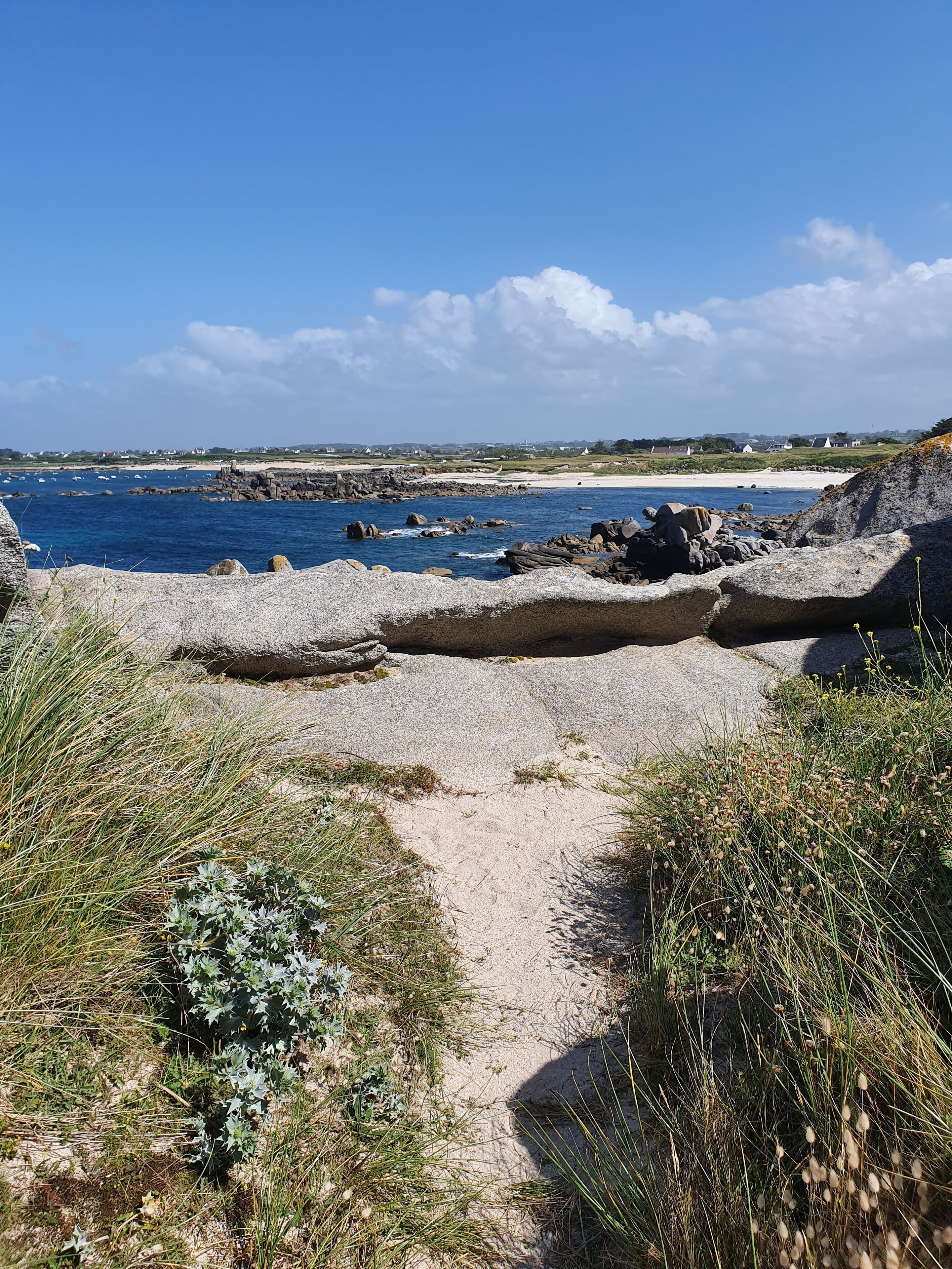 Strand