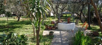 Eretria: Single storey house, in an olive grove, 250 from the beach