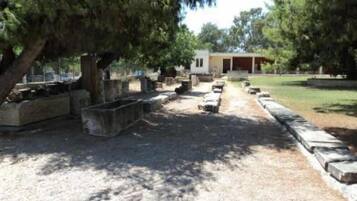 Área da propriedade