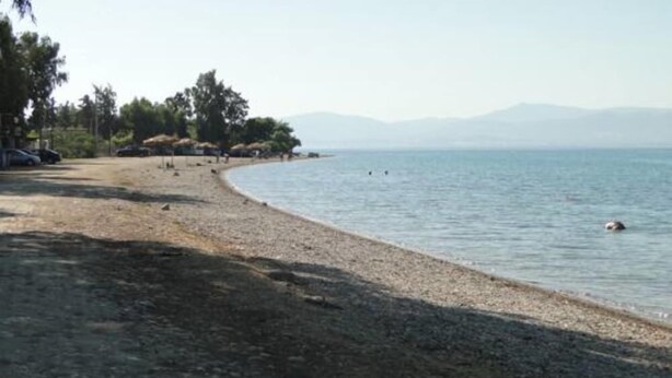 A pebbled beach with a few people and umbrellas, surrounded by trees and hills in the distance. - Eretria: Single storey house, in an olive grove, 250 from the beach (Eretria)