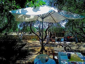 Outdoor dining - Eretria: Single storey house, in an olive grove, 250 from the beach (Eretria)