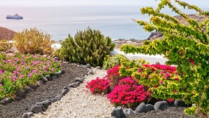 Un jardin agrémenté de diverses plantes et fleurs, un sentier, et une vue sur la mer et un navire au loin.