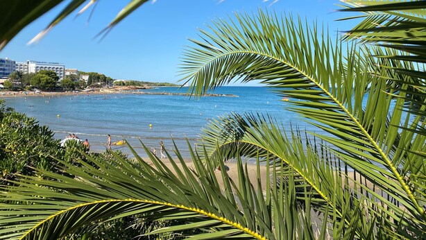 Une plage bordée de palmiers, un hôtel appelé GRAN HOTEL LAS FUENTES et un ciel d’un bleu limpide.