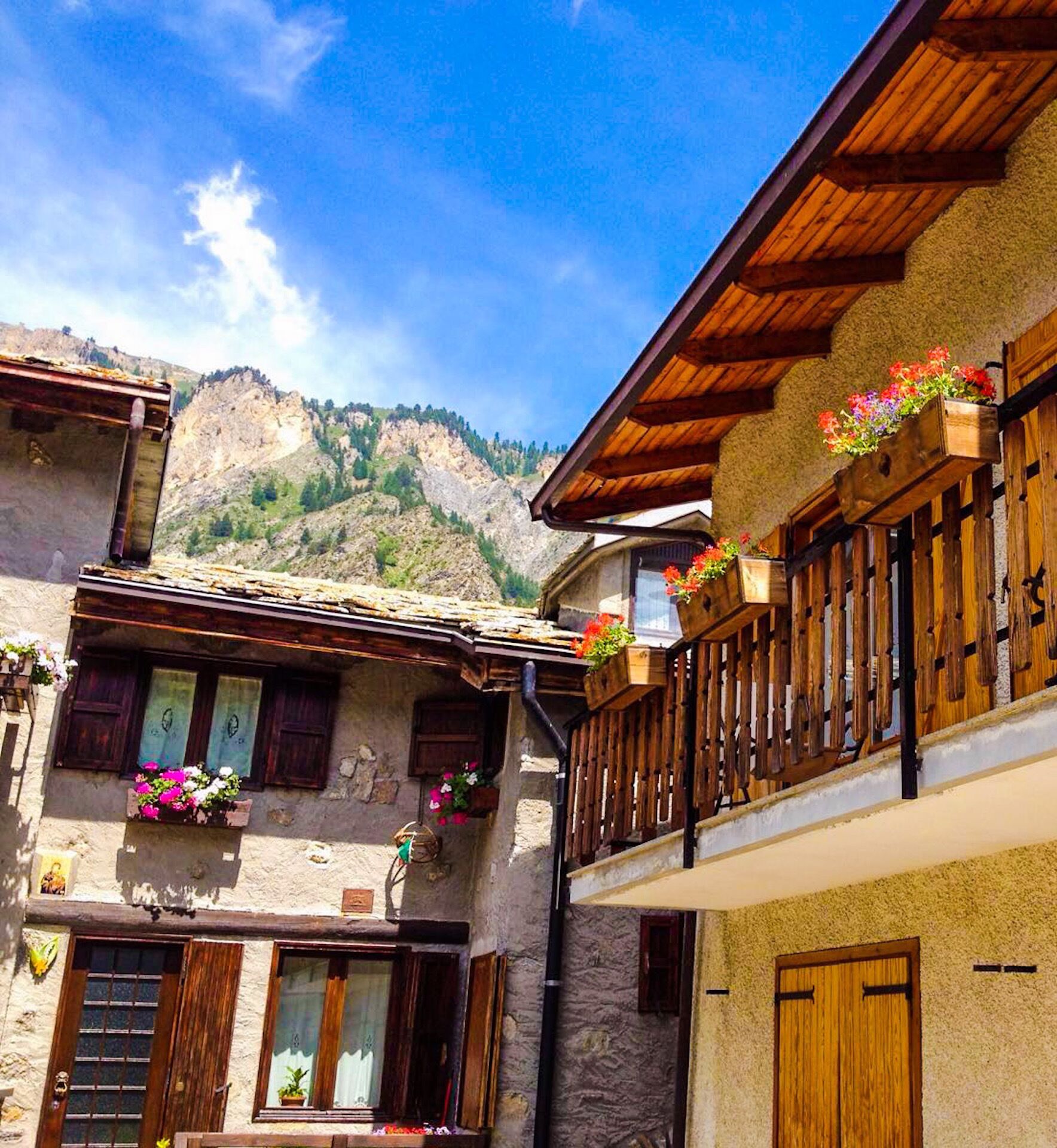 Charming, cozy and bright apartment