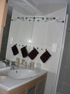 淋浴设施、吹风机、毛巾