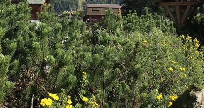 huoneisto erinomaisessa kunnossa vuokratulot VUODENAIKOJEN! Santa Caterina Valvurva