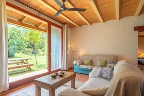 Smart-TV, Kamin