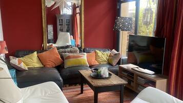 Télévision, cheminée, lecteur de DVD, livres