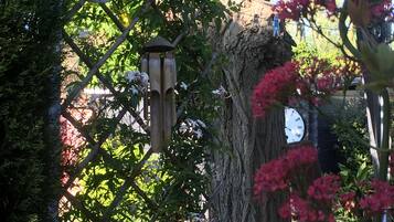 DĂ©tail de lâextĂ©rieur