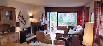 Salon donnant sur la terrasse avec vue totale sur le Mont Blanc