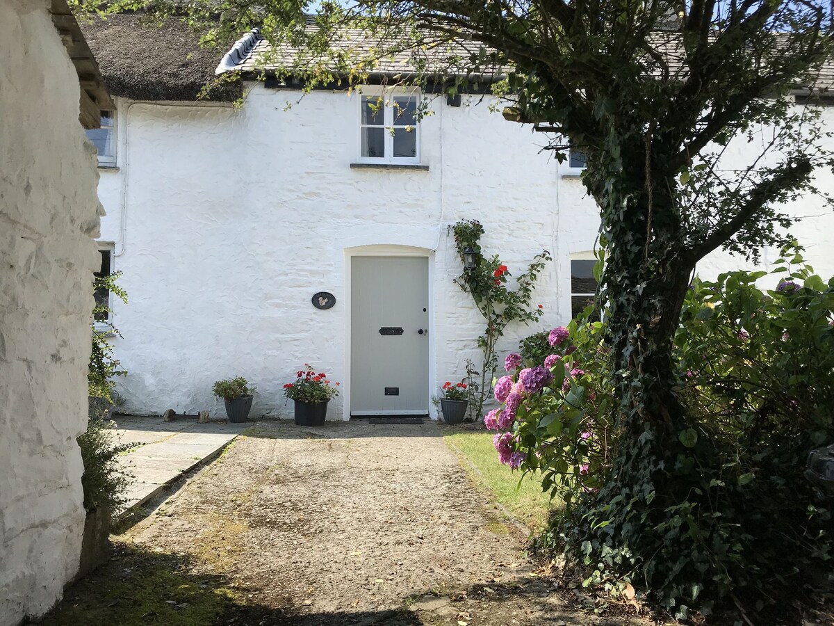 Imagen de perfil del propietario o de la propietaria