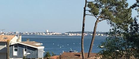 A coastal residential area with houses, a clear view of the sea, and a distant city skyline.
