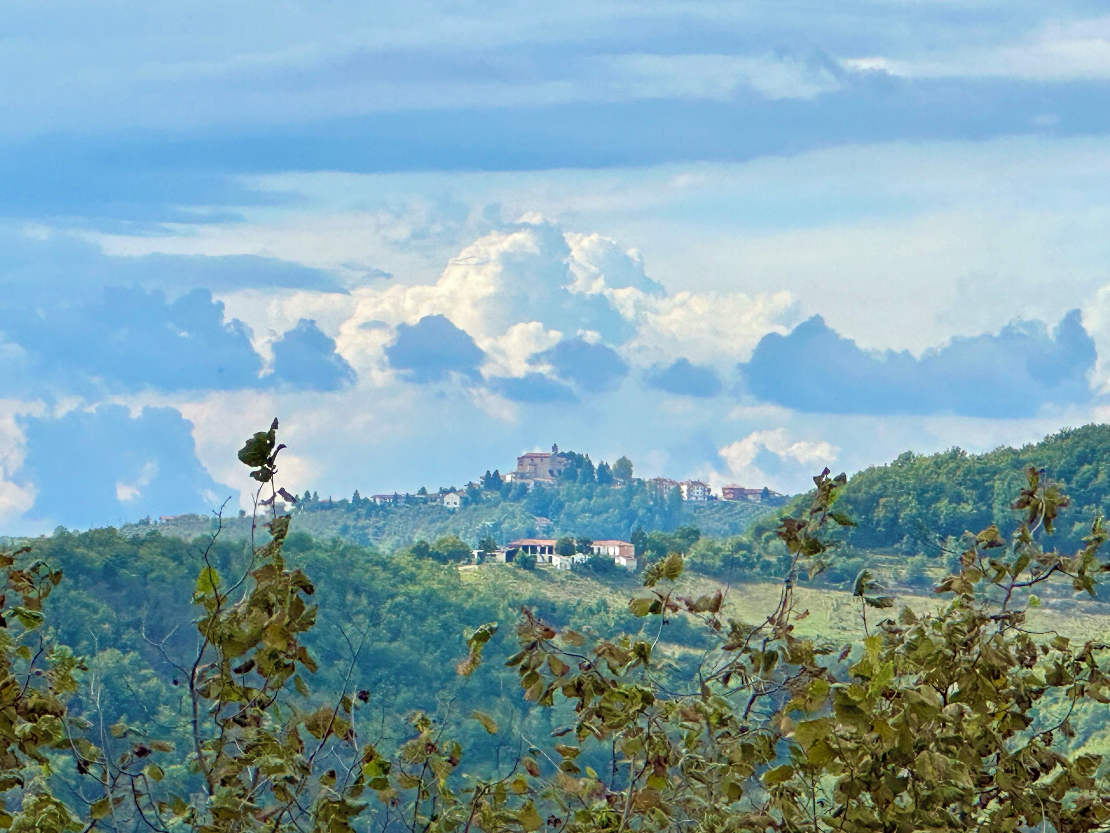 Vista de una colina con edificios, incluyendo una construcción que recuerda a un castillo, y un ave en primer plano.