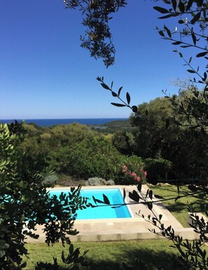 A pool with a view of the ocean and surrounding greenery.