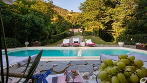 Uma piscina com espreguiçadeiras, um pequeno edifício e vegetação exuberante.
