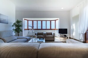 TV, DVD player, books, video library