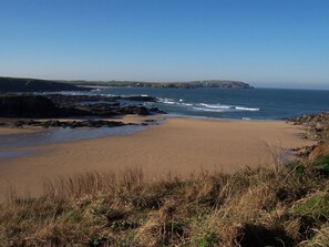 Beach nearby - Quirky romantic home, pet friendly with pretty garden near Padstow and Beaches (Nr Padstow)