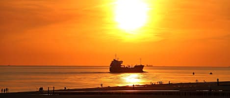 Tæt på stranden