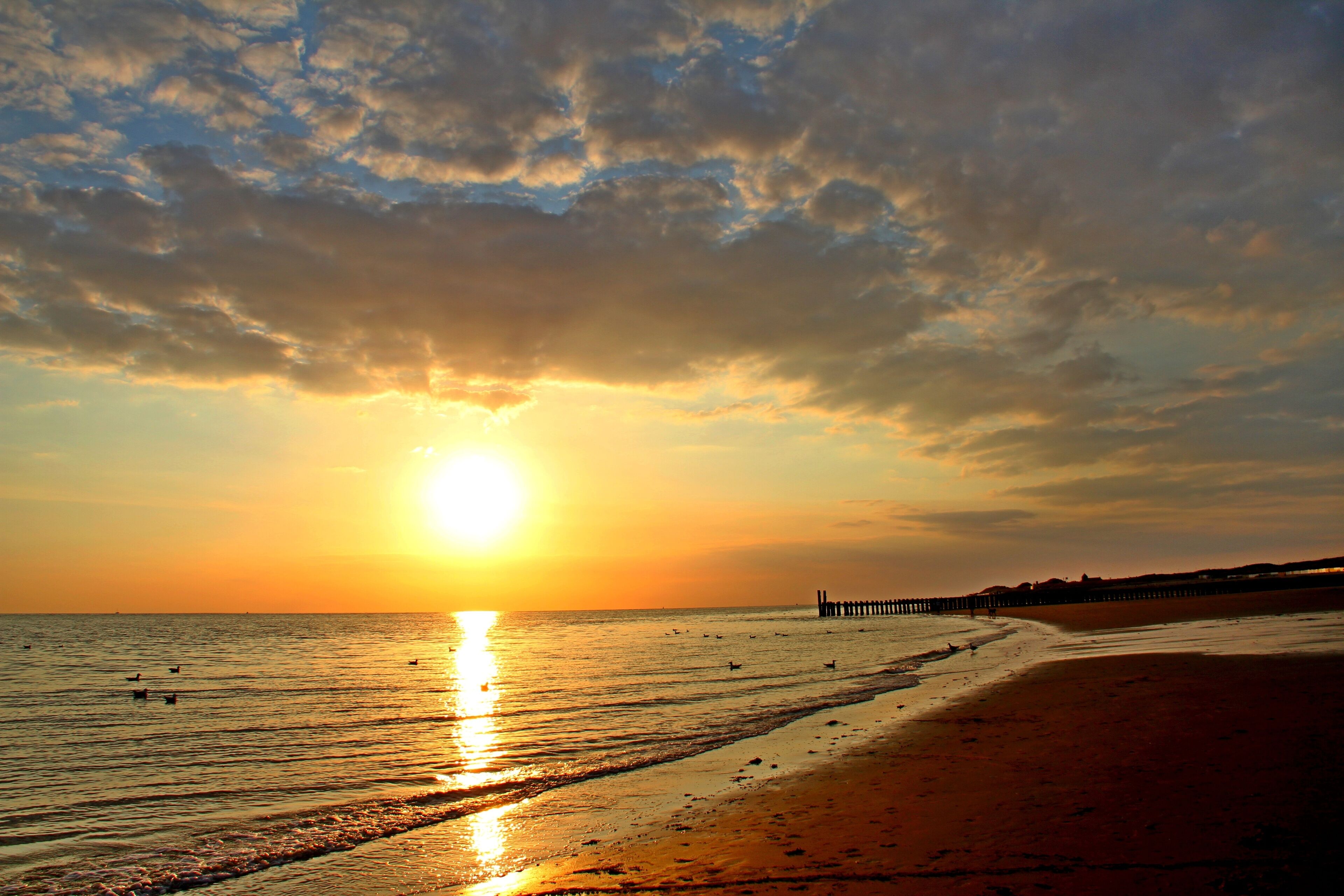 Plage à proximité