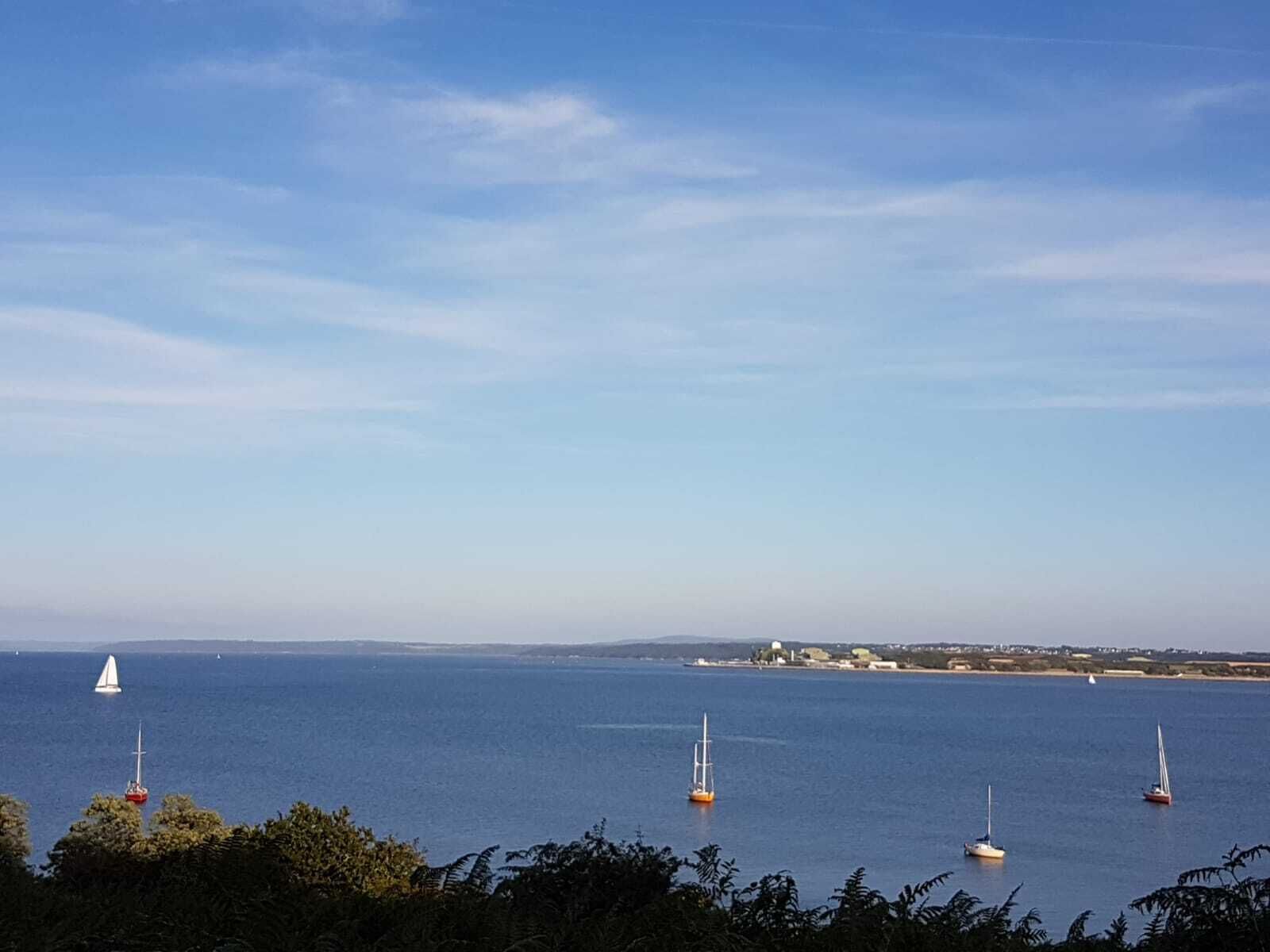 Een kustgezicht met verschillende zeilboten op rustig water, een heldere lucht en veraf gelegen land met gebouwen.
