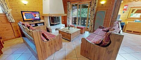 TV connectée, cheminée, lecteur de DVD, livres