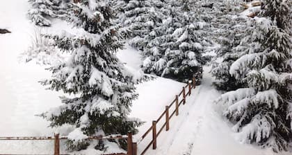 Grand appartement confortable avec un accĂšs facile aux pistes