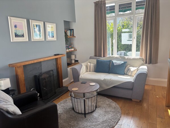 Smart TV, chimenea, reproductor de DVD y libros 